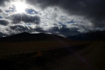 DSC_2873 (Large).JPG